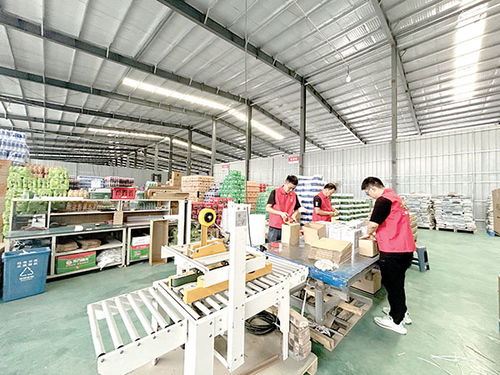 筑巢引商興產業，日用品銷售繪就鄉村新畫卷
